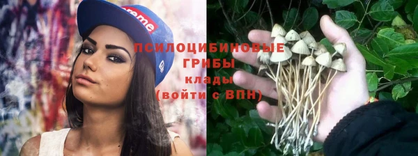 гидропоника Балахна