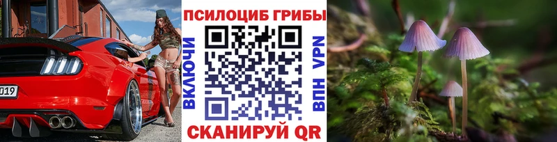 Псилоцибиновые грибы Psilocybine cubensis  Жирновск 